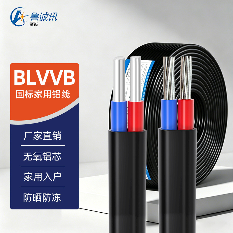 National Standard Aluminum Core Electrical Wire for Household Use, Aluminum Sheathed Wire, 2-Core Anti-Aging Outdoor Wire, 4 6 10 16 25 Square Millimeter National Standard Aluminum Core Electrical Wire for Household Use, Aluminum Sheathed Wire, 2-Core Anti-Aging Outdoor Wire, 4 6 10 16 25 Square Millimeter