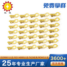 2.5�A�h���� ���lֱ�l�B�m�A�εؾ����ӣ���R�͈A���S�~��������