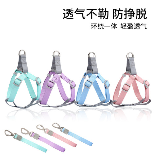 Pet Supplies Amazon New Product Macaron Nylon Dog Leash Set Adjustable Chest and Back Leash