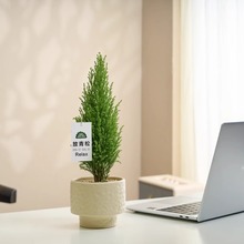 С���ɽ�ڰ����Կ͏d�k���҃�����Gֲ�����՚�Y���������l�S��