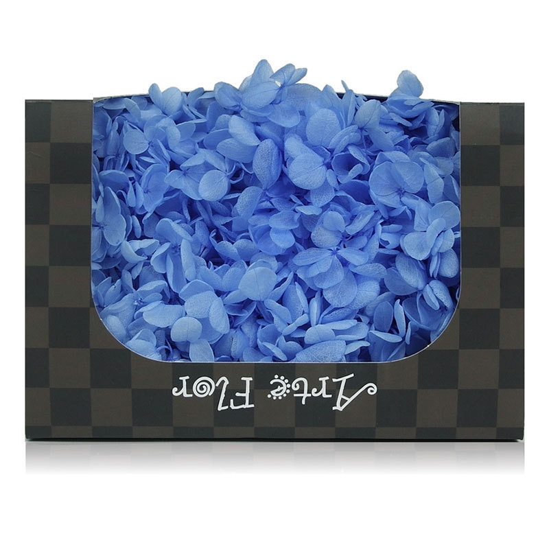 나무 수국 영원한 꽃-로얄 블루 20g