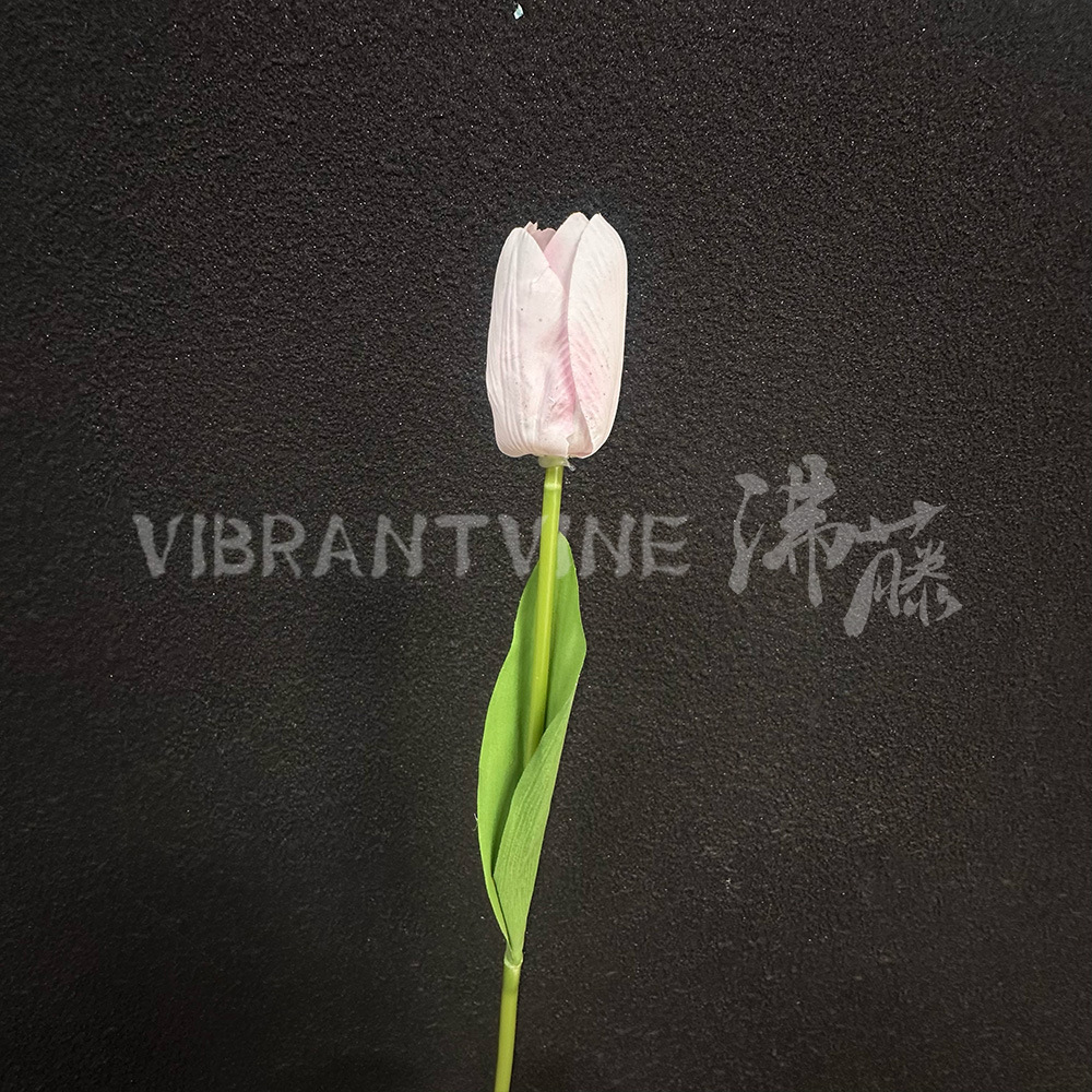 분홍색
