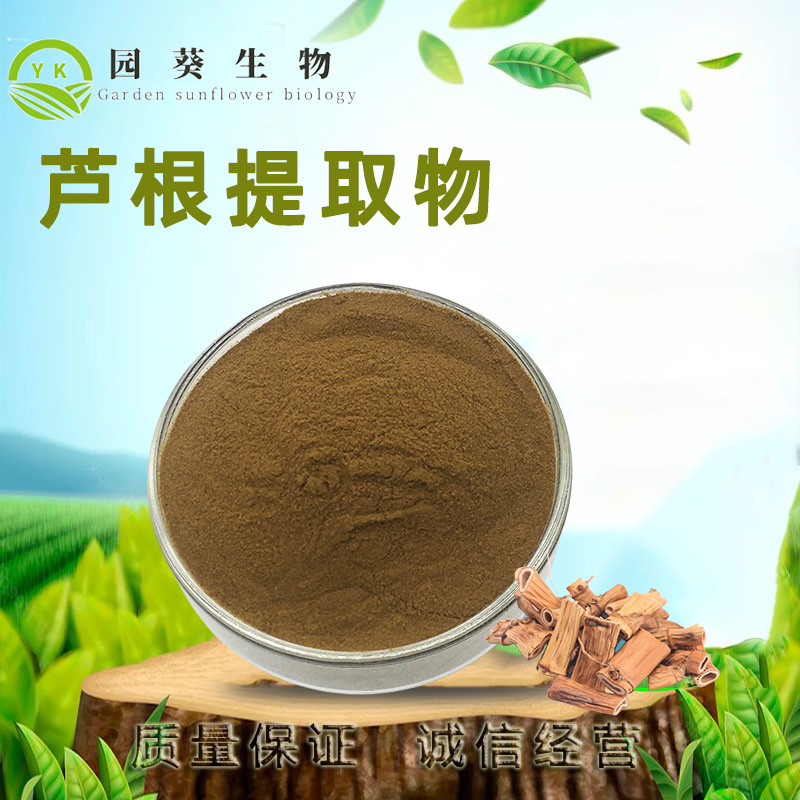 芦根提取物10:1芦根粉喷雾干燥原料萃取粉厂家现货食品级原料500g