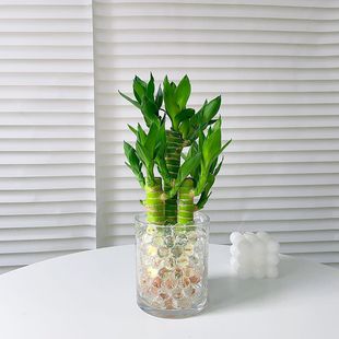 �����߸��F��ˮ��ֲ���k���҃�������B�ļ������ݗ����ؔ�Ĳ���