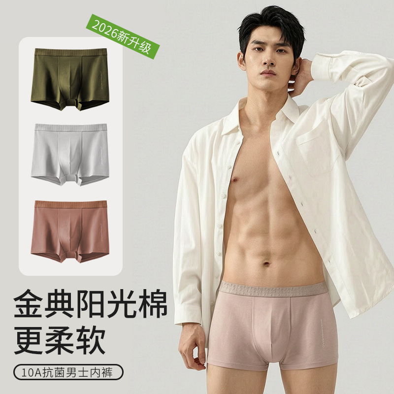 [Class a Cotton] 100% Cotton 10A Antibacterial Men's Underwear Autumn and Winter New Boxer Briefs Men's Pure Cotton