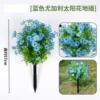 Eucalyptus blue violet ground nails