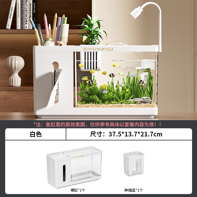 家用桌面创意鱼缸纸巾盒客厅生态斗鱼缸办公桌高透小型水培饲养缸|undefined