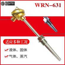 上仪WRN-631高温耐磨热电偶 锥形管 电厂化工温度计K型1000度三厂