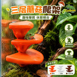 蘑菇爬宠台三层饲养箱攀爬休息壁虎睫角守宫树蛙小型蜥蜴安装简便