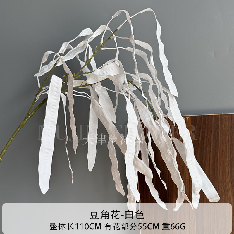콩 꽃