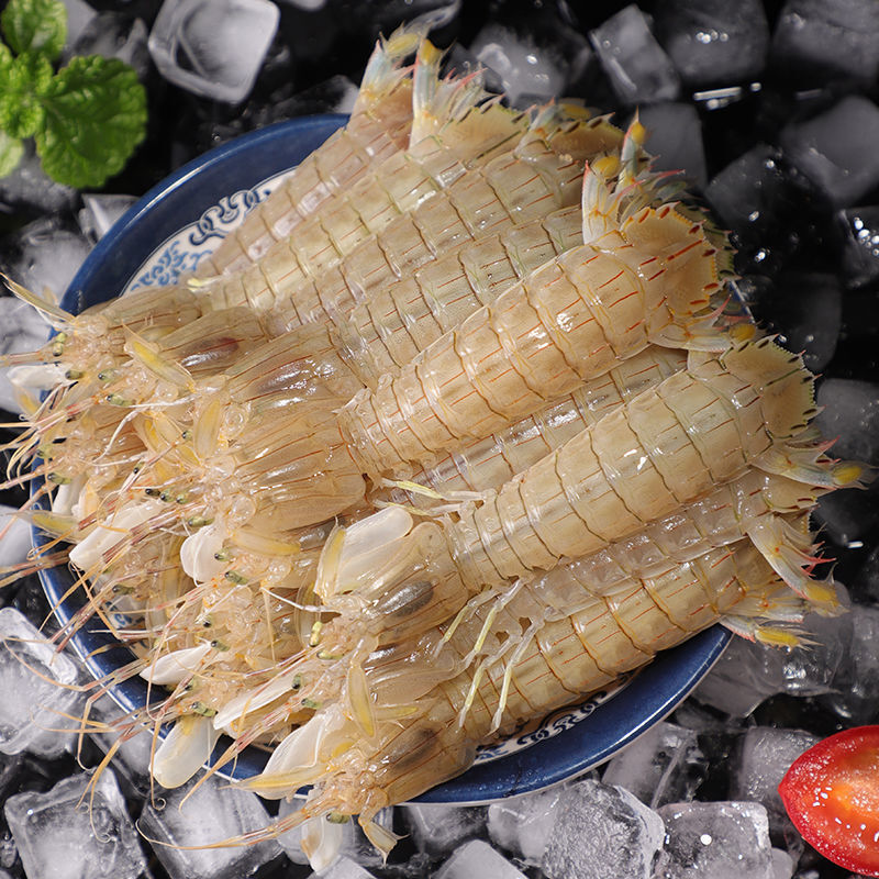 Pipi shrimp Fresh fresh Super large Salt and pepper fresh Mastering Shrimp crawling child Manufactor wholesale