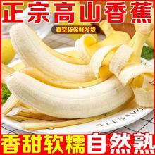 【超低价】云南高山大香蕉香甜当季新鲜水果整箱批发非小米蕉芭蕉