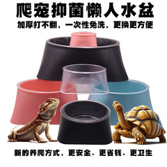 怠け者の水たまりはペットに登ります。