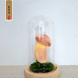 仿真蘑菇模型云南野生菌假样观摆件装饰场景布置景早教假道具拍摄