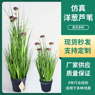 �������[������ins�L�����Gֲ���ԼҾ�����Ʒ�[���پGֲ���l