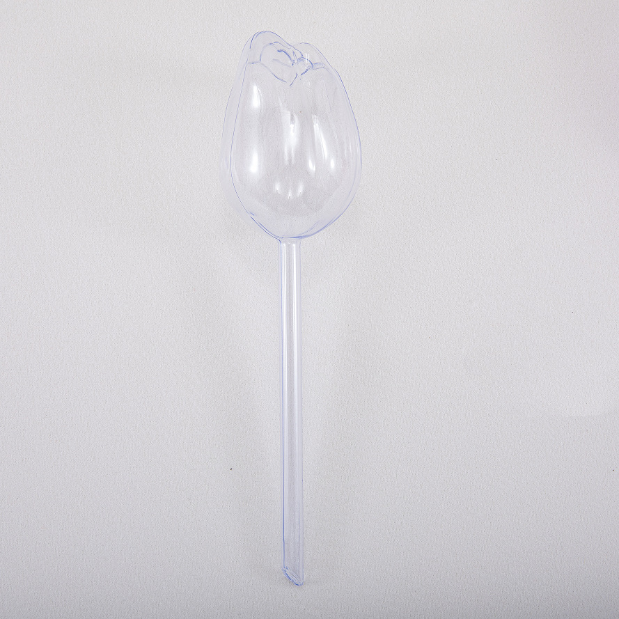 튤립 투명 색상