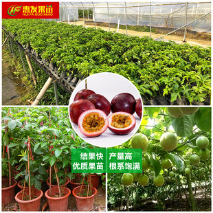 ̨�rһ̖������� �޽���J��9̖�S�������������ٹ��箔��Y��