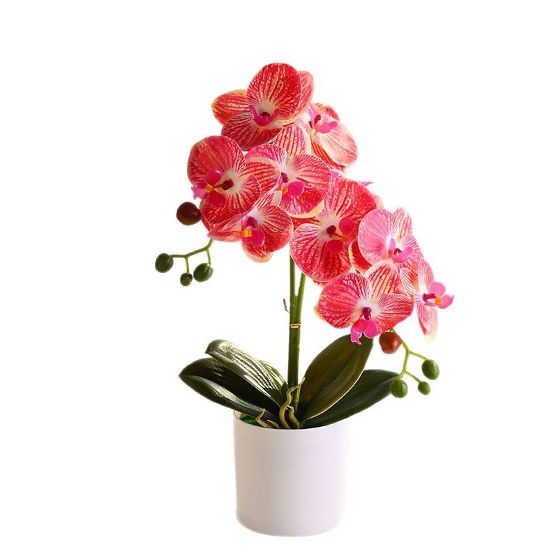 11 flores Phalaenopsis bonsai flores artificiales moda creativa decoración de flores adornos artificiales plantas verdes artificiales simulación pequeñas plantas en macetas image 6