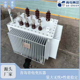 青电变压器厂S22-100KVA/10KV油浸式变压器可出口