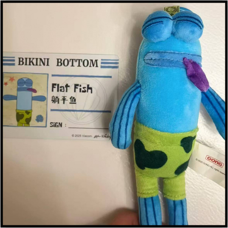 신분증이 있는 눕은 납작한 생선 [대형 상자 1개]