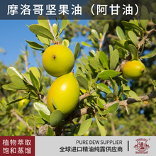 �M��Ħ��簢���ͻ�����ֲ����ȡ�䉺��ե���A�ͷ����o�wֲ�ﾫ��