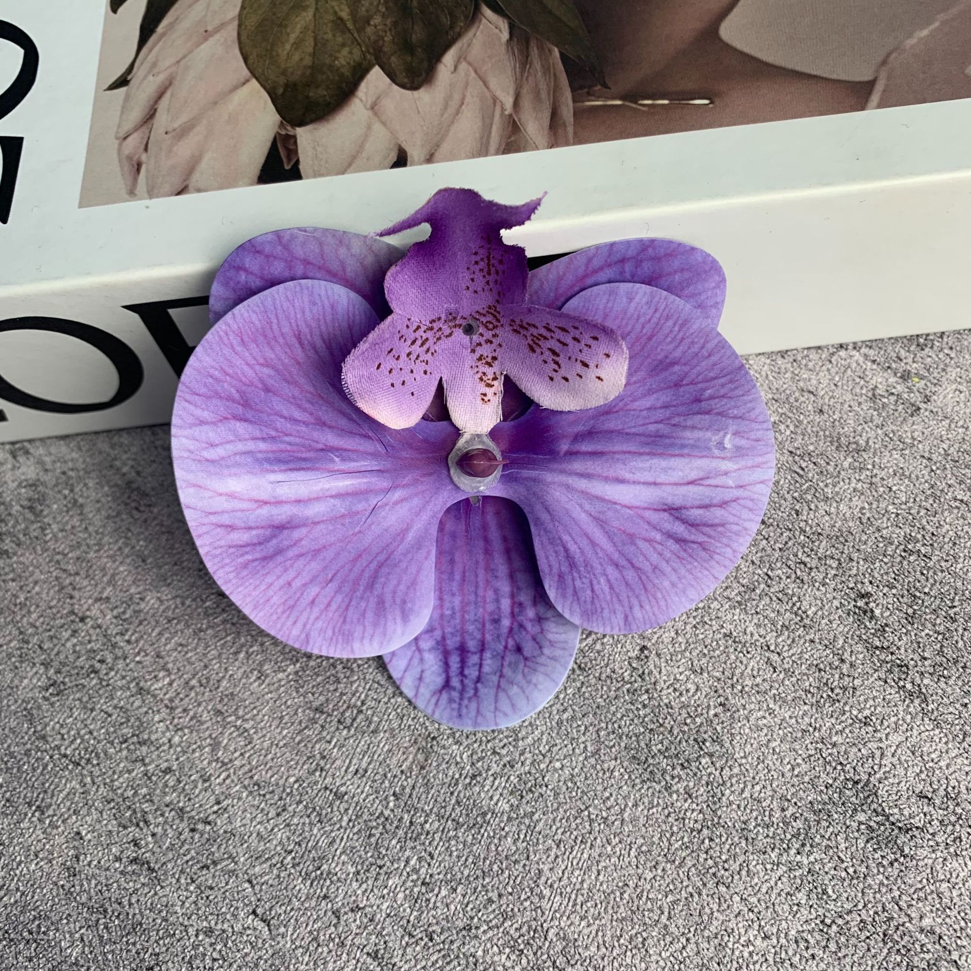 중간 호접란 꽃 머리 보라색 파란색