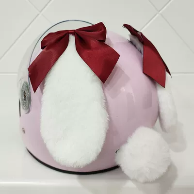 Detachable Rabbit — Diàndòngchē Auto Parts and Accessories