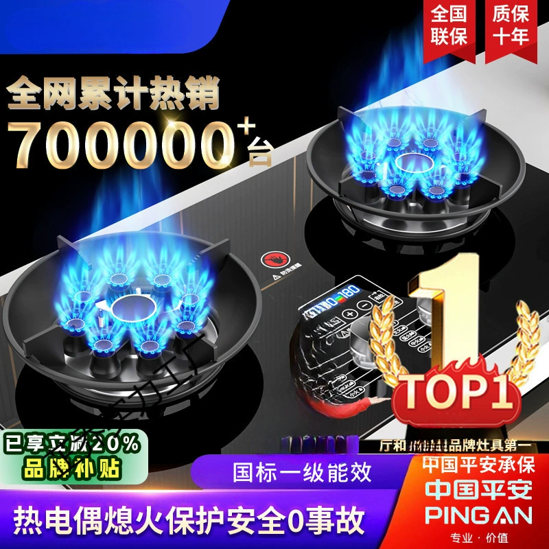 Газовая плита, газовая плита, двухконфорочная плита, бытовая плита на природном газе, субсидия на замену плиты на сжиженном газе