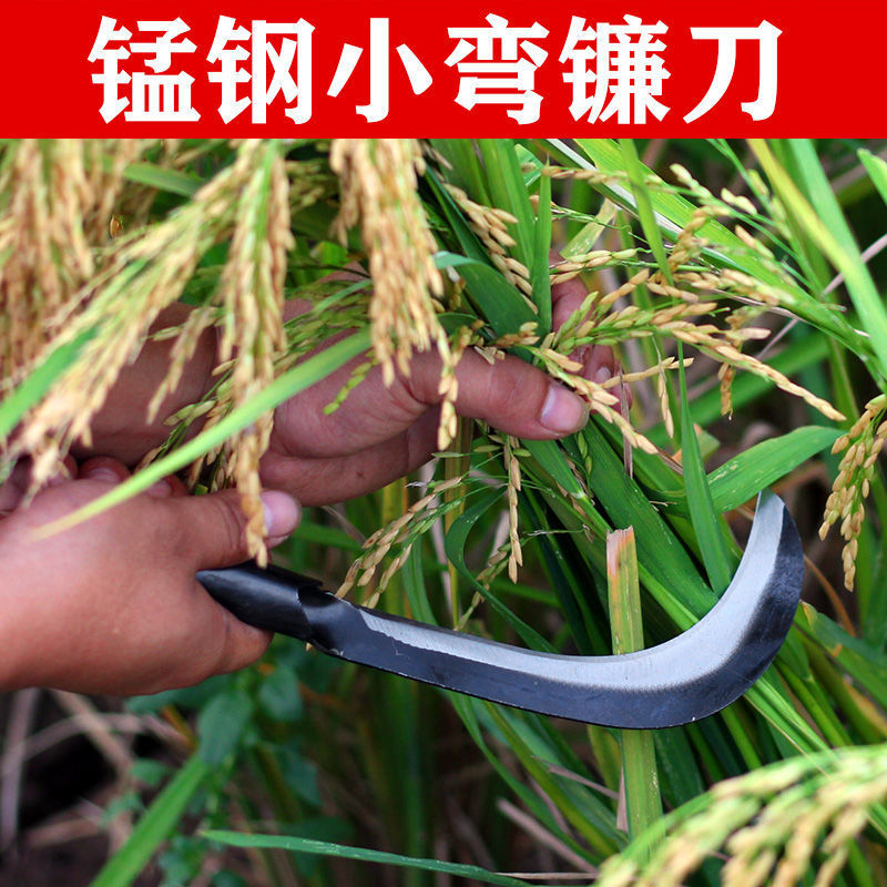 户外镰刀割草刀农用除草刀锰钢小镰刀割菜刀水草刀香蕉刀钓鱼刀镰|ms