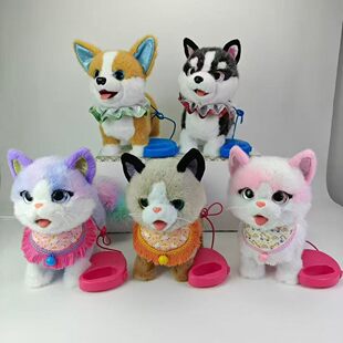 �¿���·��������С��С؈؈늄���ż