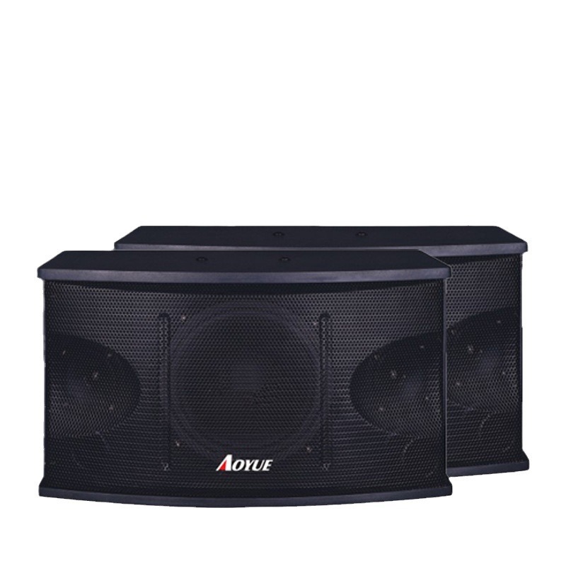 Ventas directas de fábrica SK-10 10 pulgadas hogar KTV titular de la tarjeta altavoz karaoke altavoz Conferencia bar audio