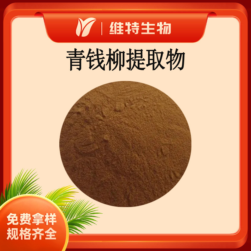 青钱柳提取物5：1 青钱李叶提取物 青钱柳粉 喷雾干燥粉