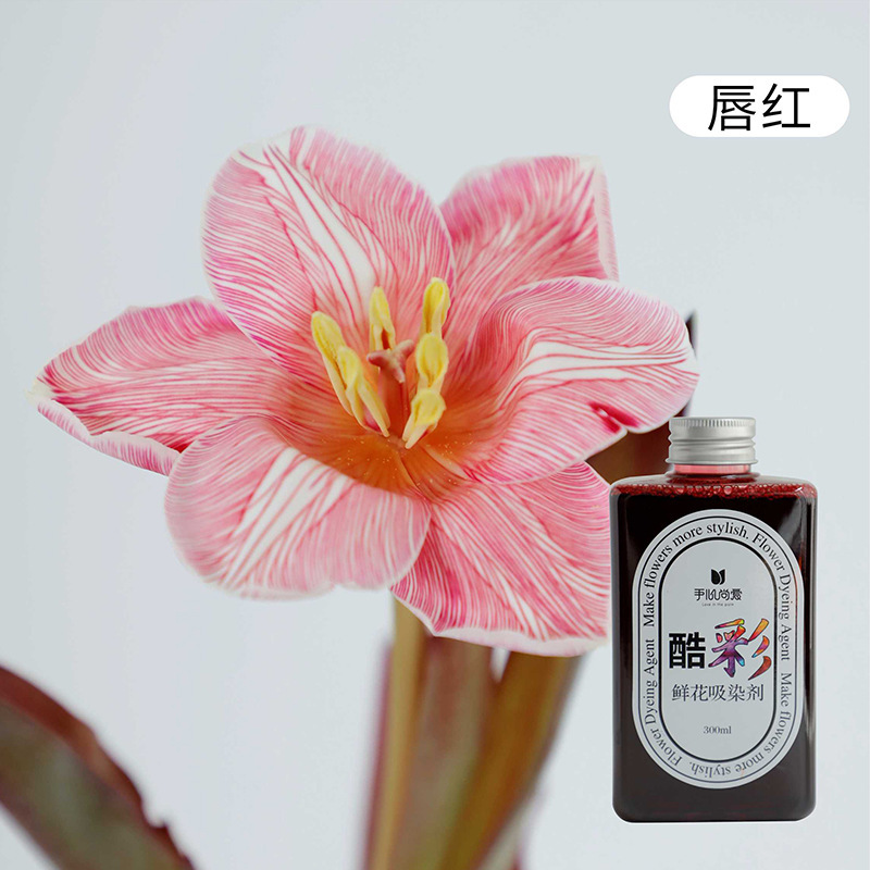 Absorbente de color económico (labios rojos/300ml); variedad de opciones