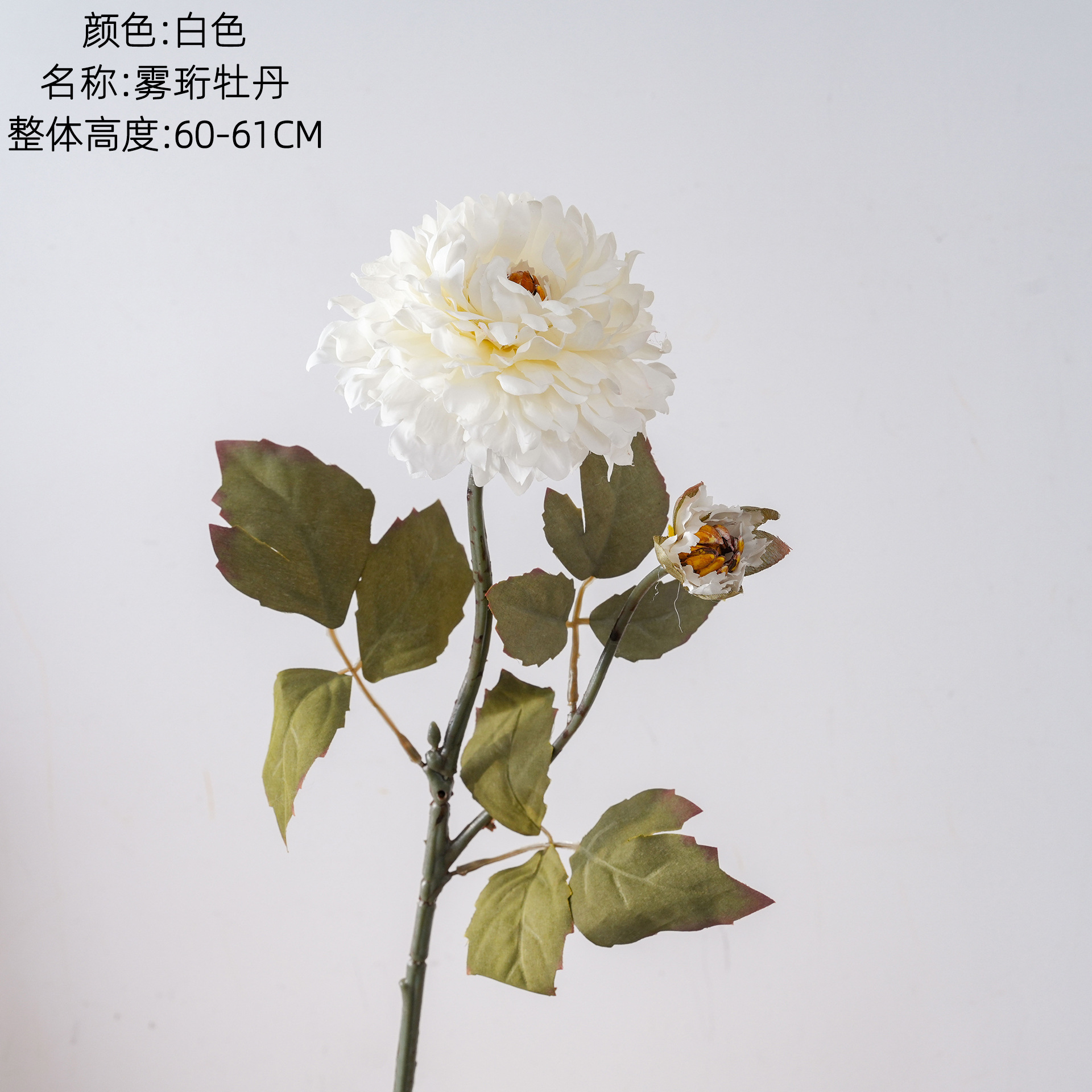 Wuheng Peony falsificó flores y plantas verdes artesanías de decoración de bodas al por mayor INS fabricantes de flores de simulación transfronterizas con flores en la mano
