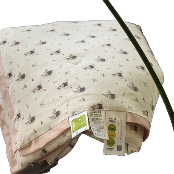 2025 New Skin-friendly Modal Single Summer Quilt Air-conditioning Quilt Summer Soft and Comfortable Ins Pastoral Floral Quilt