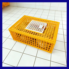 �����u������\ݔ�\����Ԫ�����N��̖�����u�\�Ӻ����D���Bֳ��