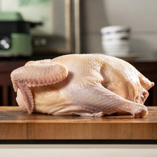 �����������ڻ�����ĸ����ɱ�����ٶ�������ζ �и����Ӽ��Գ�1ֻ