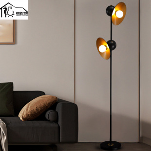 Floor Lamp American-Style Light Luxury Home Living Room Double-Head Floor Lamp Bedroom Study Single-Head Reading Desk Lamp Source