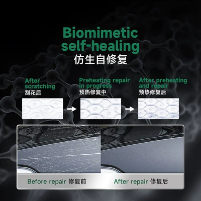 Car paint protective film Car Paint Protection Film