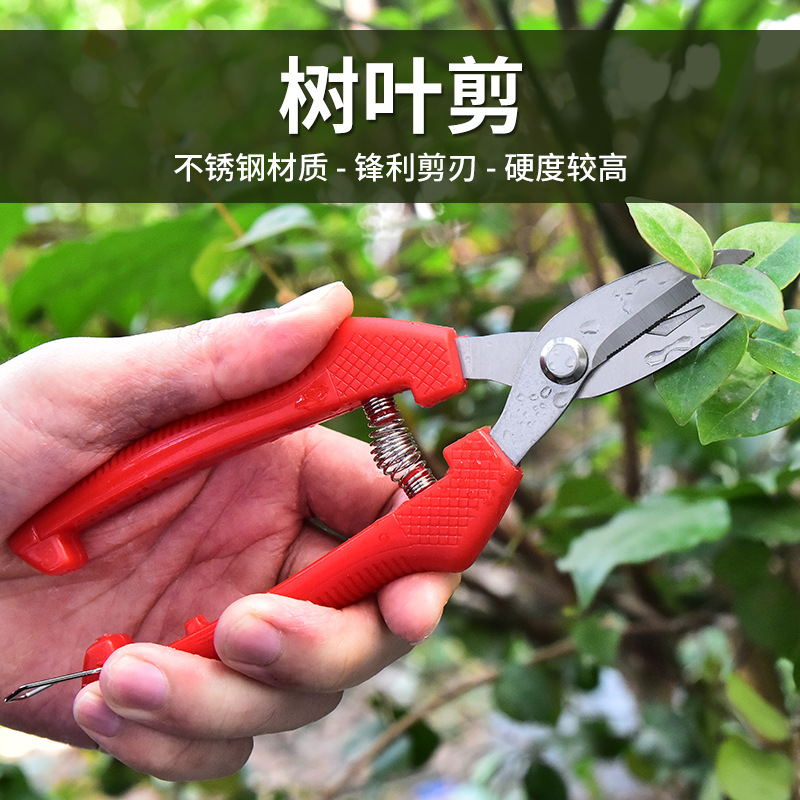厂家不锈钢树叶剪园林剪园艺剪修枝剪摘果稀果剪园林绿化剪刀批发