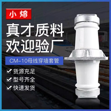 母线穿墙套管CM-12-90-160户外高压陶瓷绝缘管CMWW-10-20KV24-180