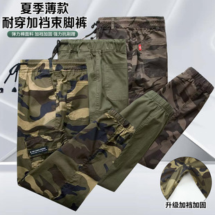 �ļ��Բ�ѝ��ʿ������������e���bѝ�����_���ɹ������п�ѝ��