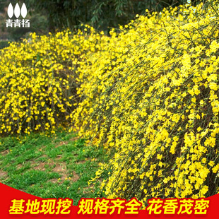 ӭ���������B�N����߮a��������ͥԺ�̨���Ժ�߅�G����������