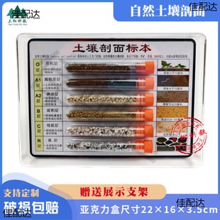 Soil Profile Specimen Community Science Exhibition Natural Soil Profile Science Textbook Geography Specimen Observation