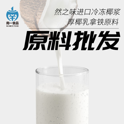 南一食品 进口冷冻椰浆 植物基蛋白椰乳饮品原料 5KG无菌袋包装|ru