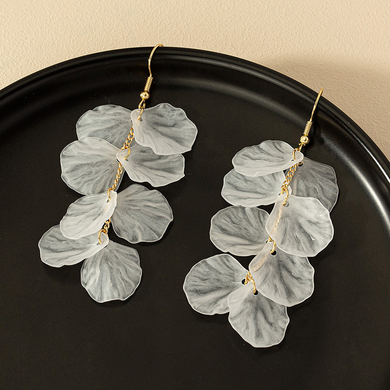 1 Pair Simple Style Transparent Resin Drop Earrings display picture 5