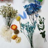 Festival bricolaje hecho a mano material de flor eterna planta flor seca florero flotante aromaterapia flor seca abanico de material paquete al por mayor