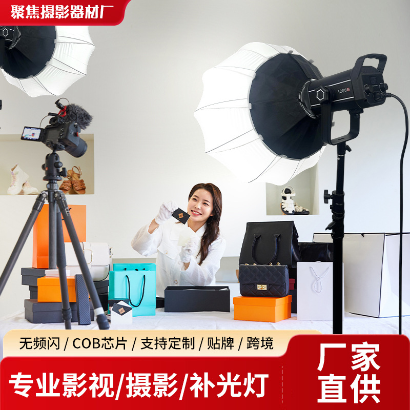 跨境300W摄影灯影棚柔光灯直播专业cob太阳灯球型补光灯厂家批发