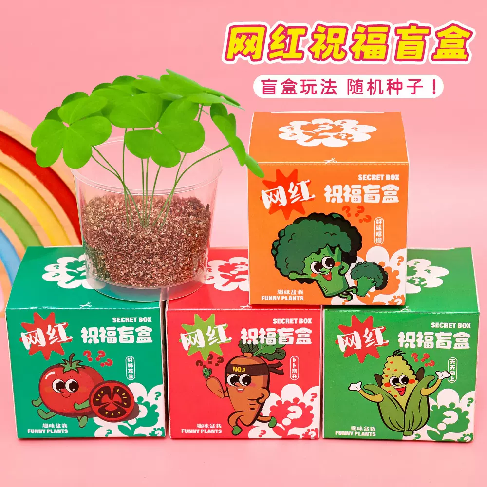 儿童种植盆栽小盲盒 网红创意绿植小种子幼儿园观察植物小礼品
