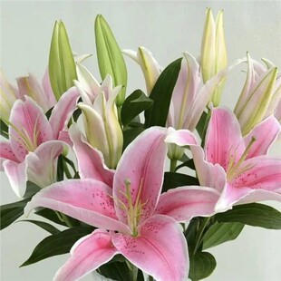 ��ˮ�ٺϻ��r�����ֱ�l�r�л�ֱ��ˮ�B�廨�r�����fͬ����������